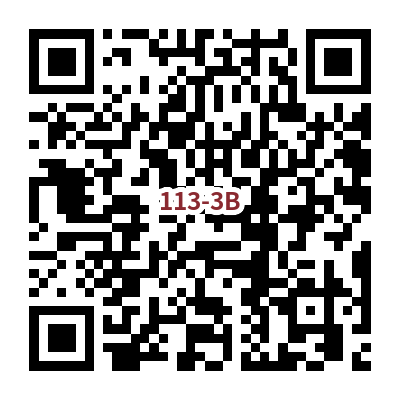 113-3B